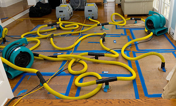 Professional Structural Drying And Dehumidification technician working in Baldwin Place, NY